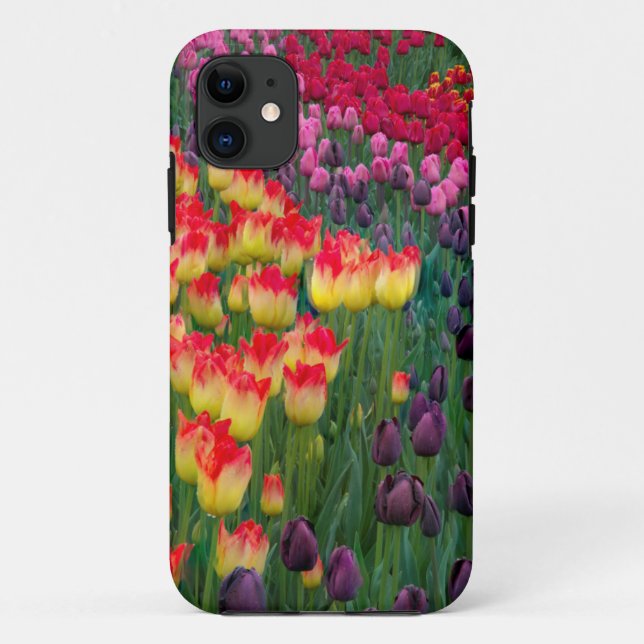 Capa Para iPhone Da Case-Mate EUA, Washington. Tulipas em Flor 2 (Verso)