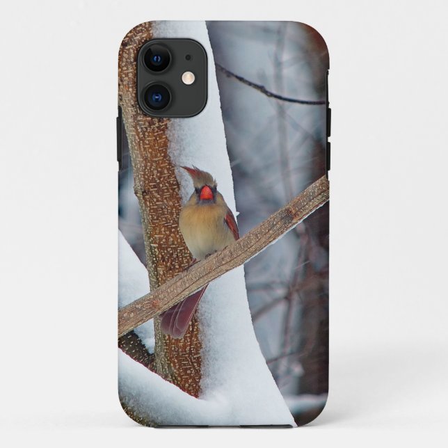 Capa Para iPhone Da Case-Mate Excelente, acabei de fazer o cabelo! (Verso)