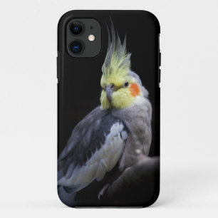 Capa Para iPhone Da Case-Mate Exemplo da case mate do iPhone 5 do Cockatiel