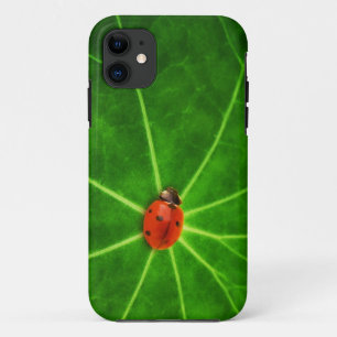 Capa Para iPhone Da Case-Mate Exemplo da senhora Desinsetar Iphone 5S