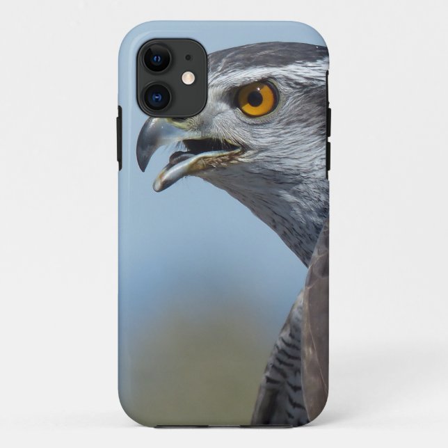 Capa Para iPhone Da Case-Mate Falcão-do-norte Gritando (Verso)