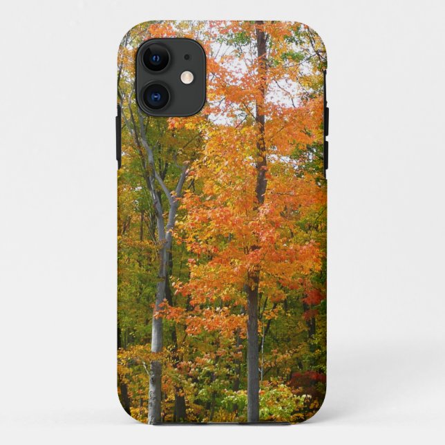 Capa Para iPhone Da Case-Mate Fall Maple Trees Autumn Nature Fotografia (Verso)