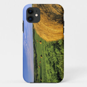 Capa Para iPhone Da Case-Mate Fardos de feno perto de Bottineau Dakota do Norte