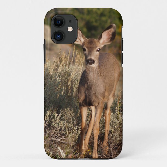 Capa Para iPhone Da Case-Mate Fawn iPhone 5 (Verso)