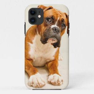 Capa Para iPhone Da Case-Mate Filhote de cachorro do pugilista no contexto do