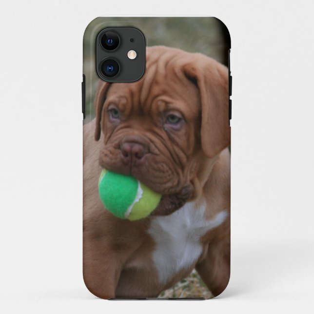 Capa Para iPhone Da Case-Mate Filhote de cachorro francês do Mastiff (Verso)