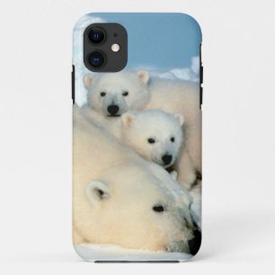 Capa Para iPhone Da Case-Mate Filhote de urso polar 1