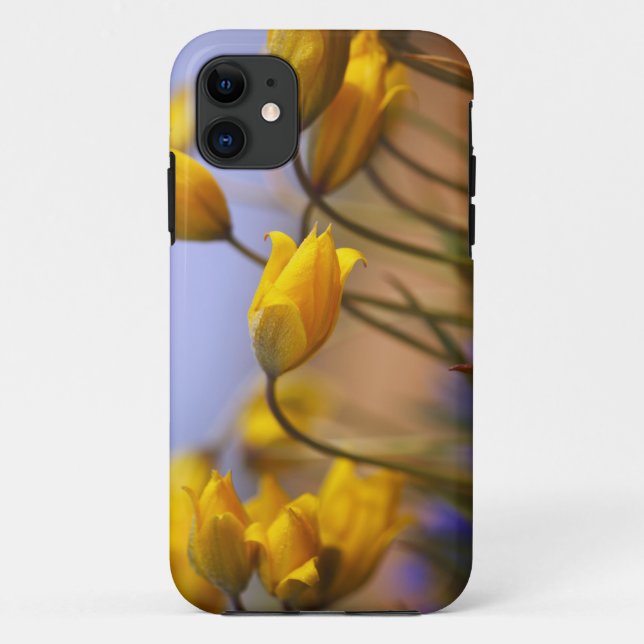 Capa Para iPhone Da Case-Mate Fim-acima dos daffodils (Verso)