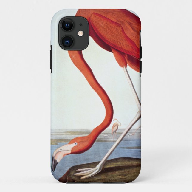 Capa Para iPhone Da Case-Mate Flamingo americano (Verso)