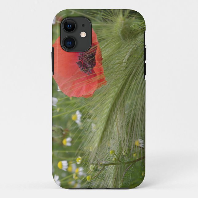 Capa Para iPhone Da Case-Mate Flor de papoila vermelha, Toscana, Itália (Verso)
