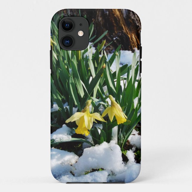 Capa Para iPhone Da Case-Mate Flores amarelas Daffodils na neve (Verso)