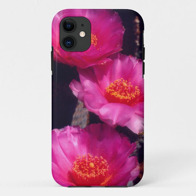 Capa Para iPhone Da Case-Mate Flores de Cactus Beavertail 2 (Verso)