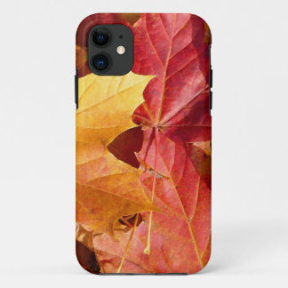 Capa Para iPhone Da Case-Mate Folhas de outono - Incrível!