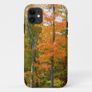 Capa Para iPhone Da Case-Mate Fotografia da Natureza de Outono de Árvores de Bor