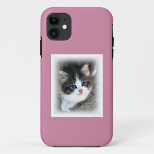 Capa Para iPhone Da Case-Mate Fotografia de retrato de Kitten SUPER CUTE