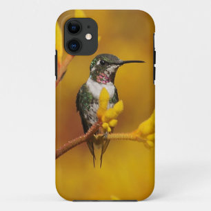 Capa Para iPhone Da Case-Mate Fulgor dourado