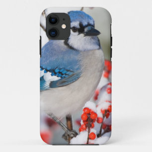 Capa Para iPhone Da Case-Mate Gaio-azul em Winterberry-comum