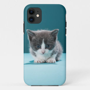 Capa Para iPhone Da Case-Mate Gatinho pequeno