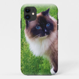 Capa Para iPhone Da Case-Mate Gato bonito de Ragdoll
