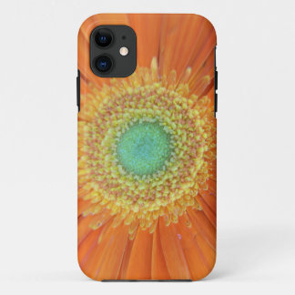Capa Para iPhone Da Case-Mate Gerbera Sun