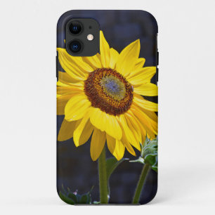Capa Para iPhone Da Case-Mate Girassol amarelo-claro