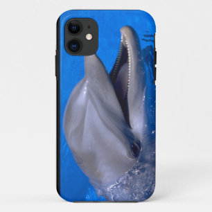 Capa Para iPhone Da Case-Mate Golfinho bonito do caso bonito do iPhone 5