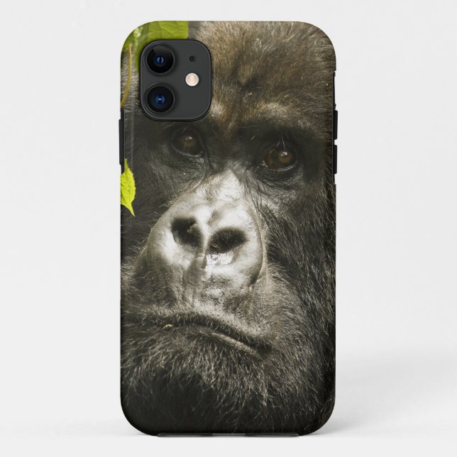 Capa Para iPhone Da Case-Mate Gorila-da-montanha, Gorilla beringei beringei, (Verso)