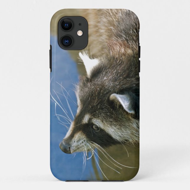 Capa Para iPhone Da Case-Mate Guaxinim (Verso)