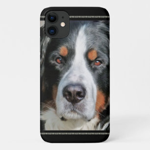 Capa Para iPhone Da Case-Mate Imagem da foto do cão de montanha de Bernese