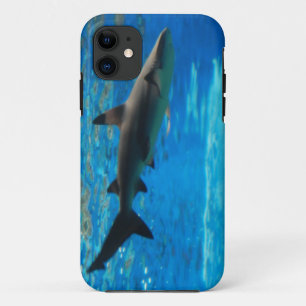 Capa Para iPhone Da Case-Mate IP do modelo do qpc do iphone 5 mal lá -