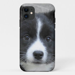 Capa Para iPhone Da Case-Mate Islandês Sheepdog 2014-0804