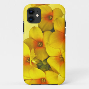 Capa Para iPhone Da Case-Mate Kalanchoe Amarelo - Sol Suculente