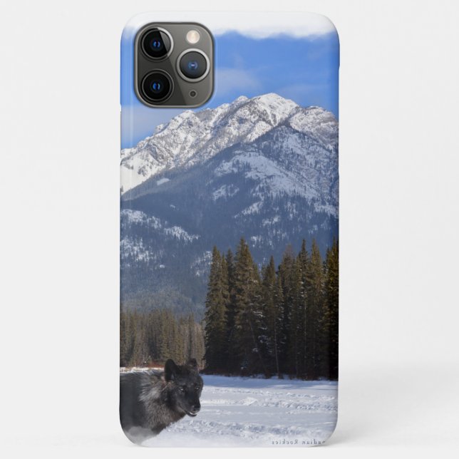 Capa Para iPhone Da Case-Mate Lobo Banff no inverno com Cascade Mt (Verso)