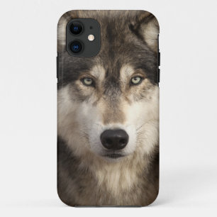 Capa Para iPhone Da Case-Mate Lobo de madeira por Jim Zuckerman
