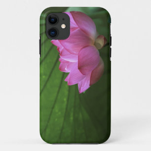 Capa Para iPhone Da Case-Mate Lótus Ohga, Jardim Sankei-en, Yokohama, Japão