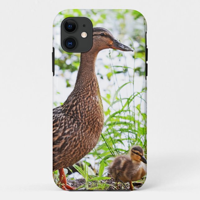 Capa Para iPhone Da Case-Mate Mallard e Ducklings por Shirley Taylor (Verso)