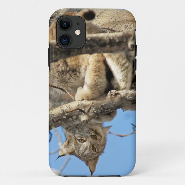 Capa Para iPhone Da Case-Mate Mischievous Lynx (Verso)