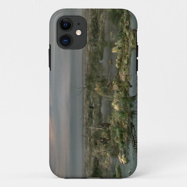 Capa Para iPhone Da Case-Mate Mortos (Verso)