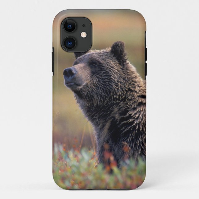 Capa Para iPhone Da Case-Mate NA, EUA, Alasca, PN Denali, Urso pardo (Verso)