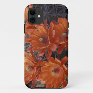 Capa Para iPhone Da Case-Mate NA, EUA, Arizona, San Xavier. Cacto Claret Cup