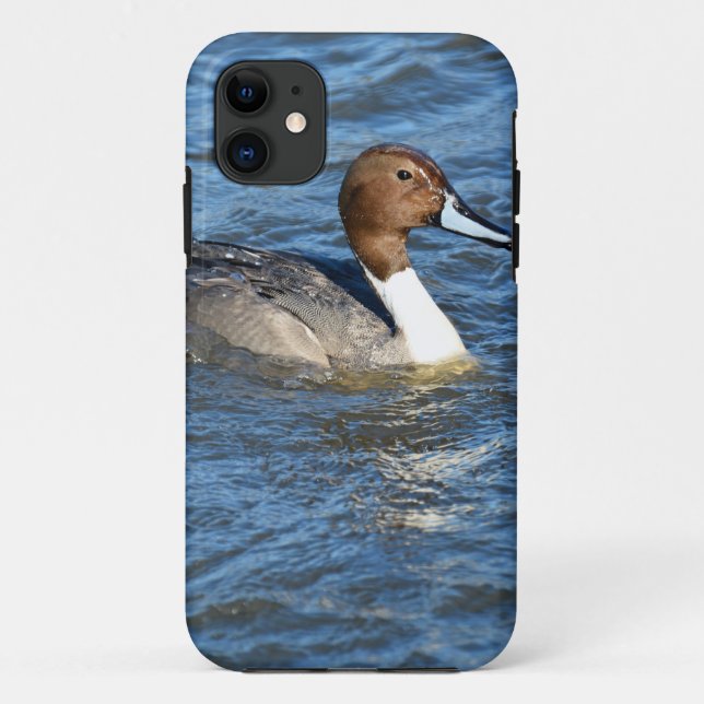 Capa Para iPhone Da Case-Mate Norte Pintail Duck (Verso)