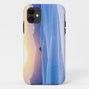 Capa Para iPhone Da Case-Mate O branco lixa o monumento nacional 3
