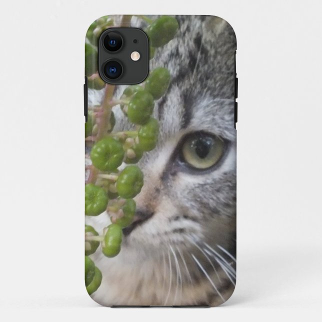 Capa Para iPhone Da Case-Mate Ocultar Caso De Ocultar Kitten EYE-Phone 5 (Verso)
