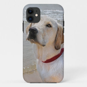 Capa Para iPhone Da Case-Mate Olhos de Retriever
