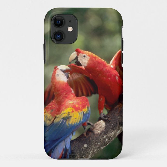 Capa Para iPhone Da Case-Mate Pair of Scarlet Macaws (Verso)