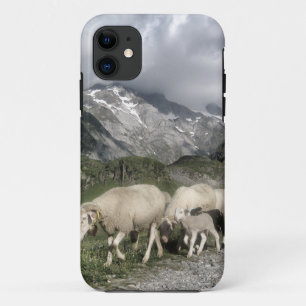 Capa Para iPhone Da Case-Mate paisagem de pirenéus