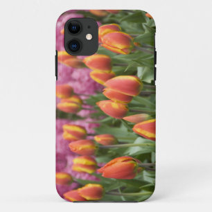 Capa Para iPhone Da Case-Mate Países Baixos (também conhecido como Holanda), Lis