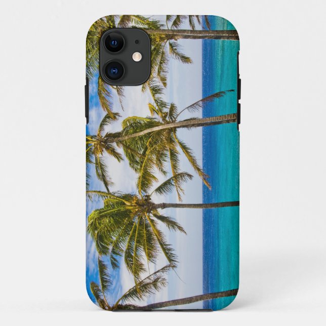Capa Para iPhone Da Case-Mate Palmeiras de coco (Cocos nucifera) (Verso)