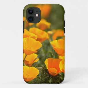 Capa Para iPhone Da Case-Mate papoulas da Califórnia, Parque Estadual Montana de