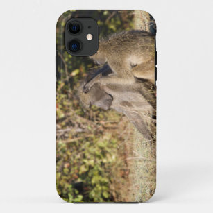 Capa Para iPhone Da Case-Mate Parque Nacional Kruger, África do Sul
